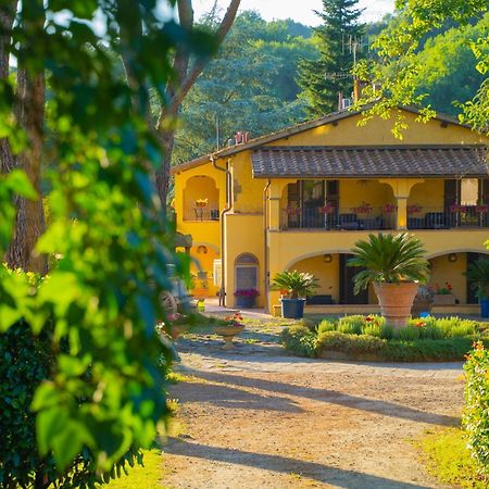 Villa Poggio Di Gaville 梅里托 外观 照片