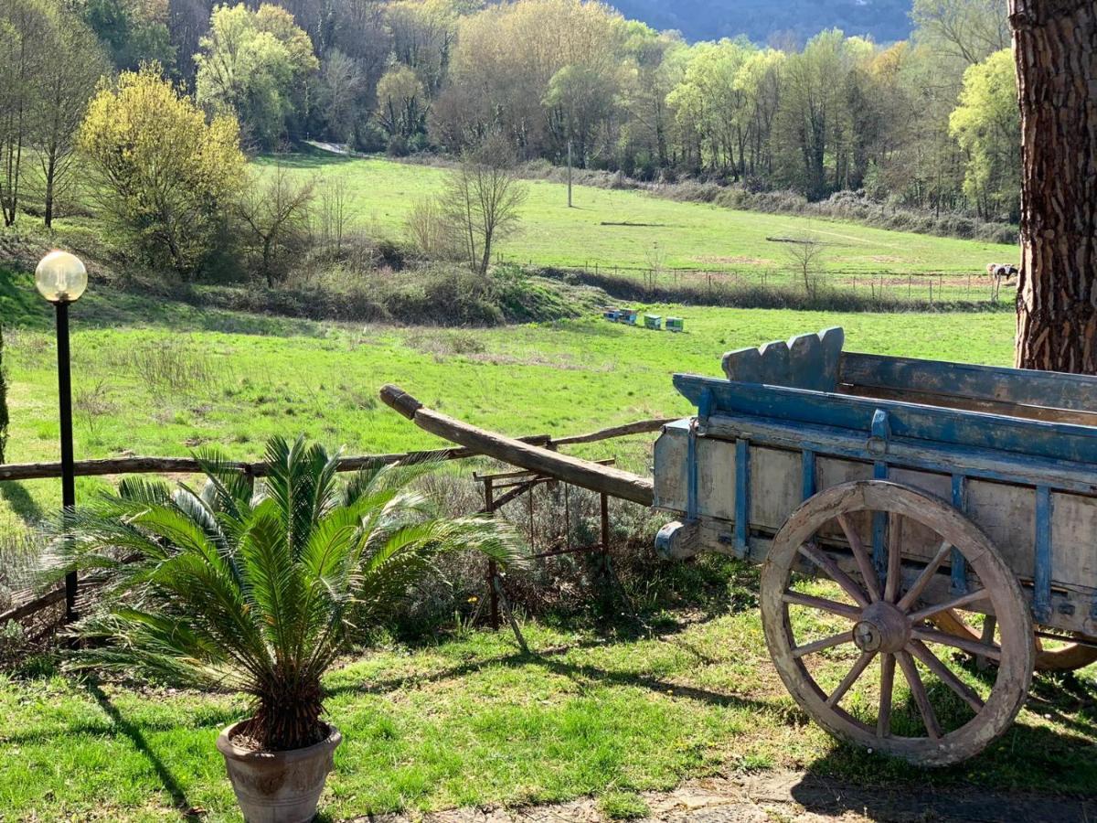 Villa Poggio Di Gaville 梅里托 外观 照片